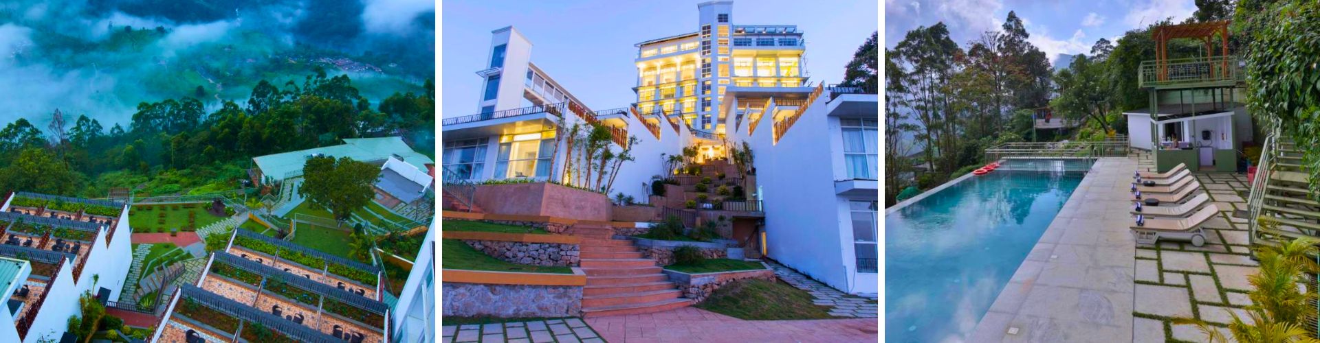 Fragrant Nature in Munnar Fragrant Nature in Munnar